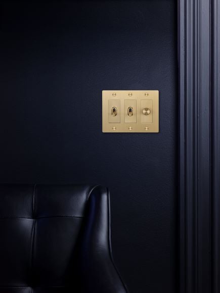 BP_US_Electricity_3G_Custom_Brass_LS_HR-flipped